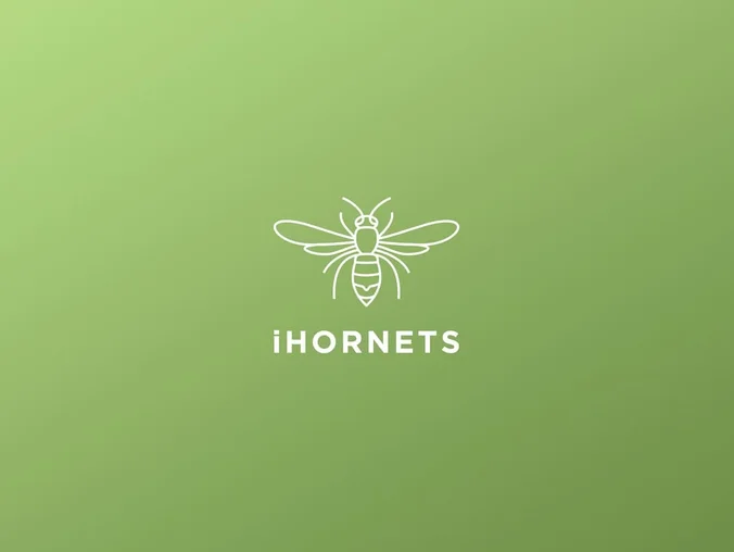 App móvil de monitorización iHornets