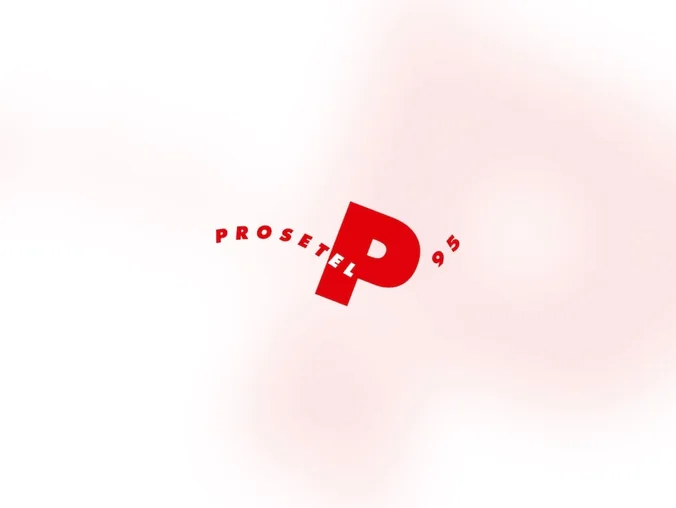 Software de planificación de compras Prosetel95