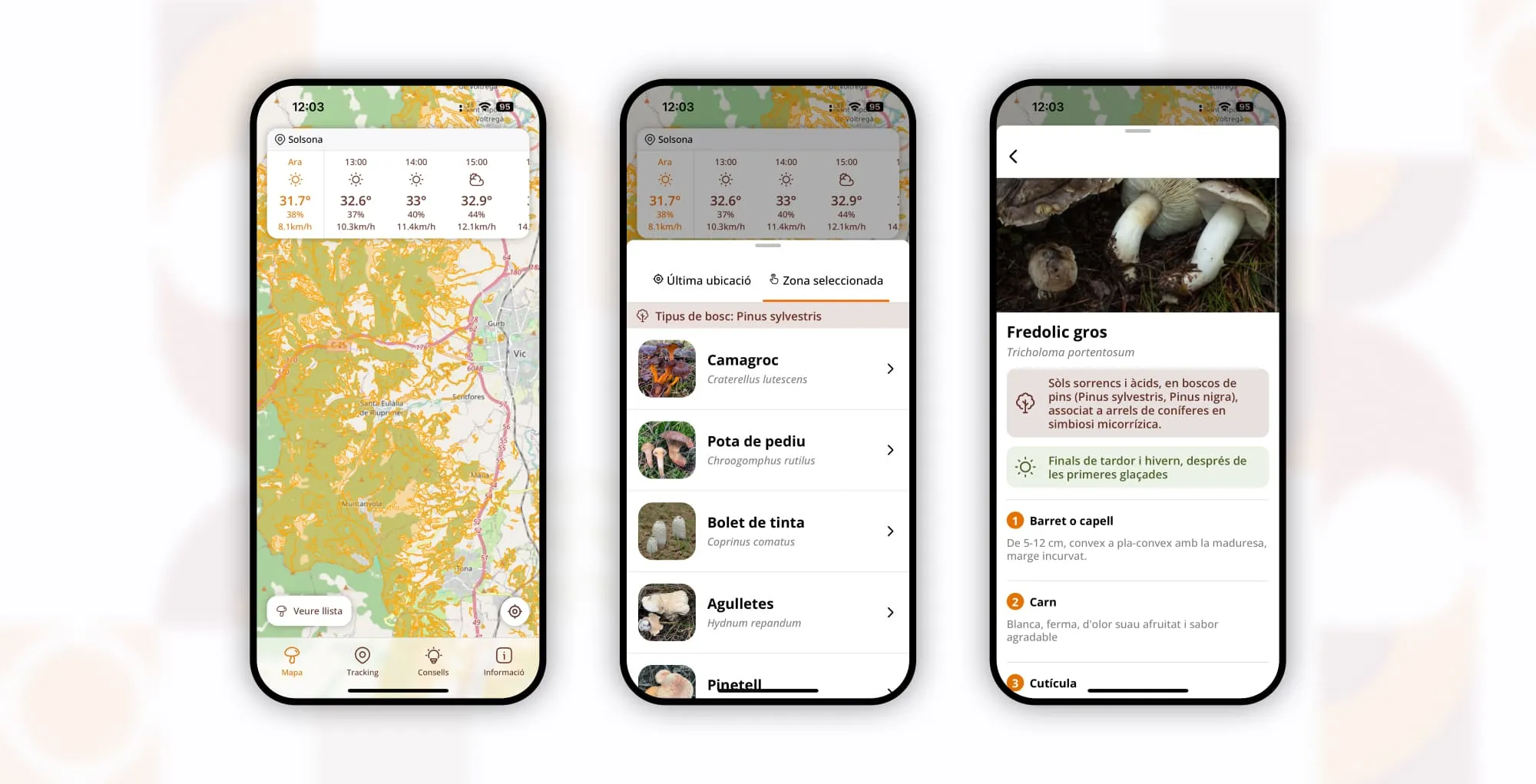 Captura de la app Mycotour en el bosque